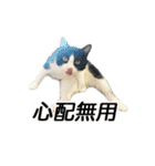 白黒はちわれ猫のつなぴ2（個別スタンプ：39）