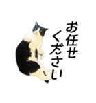 白黒はちわれ猫のつなぴ2（個別スタンプ：40）