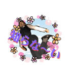 だいだい年中全力にゅーえばー（個別スタンプ：3）