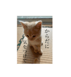こめむぎちゃん（komemugi）（個別スタンプ：14）