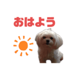 いっちゃん！いっちゃん！いっちゃん！（個別スタンプ：2）