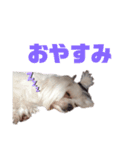 いっちゃん！いっちゃん！いっちゃん！（個別スタンプ：3）