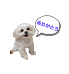 いっちゃん！いっちゃん！いっちゃん！（個別スタンプ：7）
