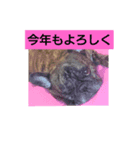 年末年始・季節・誕生日 の言葉 フレブル編（個別スタンプ：1）