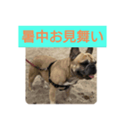 年末年始・季節・誕生日 の言葉 フレブル編（個別スタンプ：2）