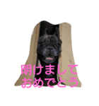 年末年始・季節・誕生日 の言葉 フレブル編（個別スタンプ：4）