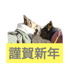 年末年始・季節・誕生日 の言葉 フレブル編（個別スタンプ：7）