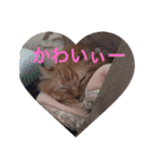 殿とはる（個別スタンプ：28）