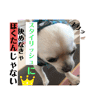 リンとユキのスタンプ2（個別スタンプ：3）