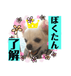リンとユキのスタンプ2（個別スタンプ：4）