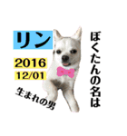 リンとユキのスタンプ2（個別スタンプ：8）
