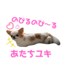 リンとユキのスタンプ2（個別スタンプ：17）