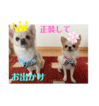 リンとユキのスタンプ2（個別スタンプ：22）