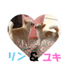 リンとユキのスタンプ2（個別スタンプ：23）