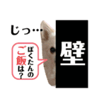 リンとユキのスタンプ2（個別スタンプ：24）