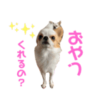 リンとユキのスタンプ2（個別スタンプ：26）