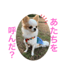 リンとユキのスタンプ2（個別スタンプ：28）