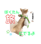 リンとユキのスタンプ2（個別スタンプ：36）