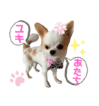 リンとユキのスタンプ2（個別スタンプ：37）