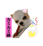 リンとユキのスタンプ2（個別スタンプ：40）