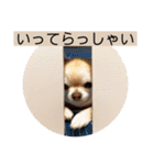 むぎちゃんの日常会話5（個別スタンプ：12）