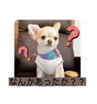 むぎちゃんの日常会話5（個別スタンプ：14）