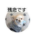 むぎちゃんの日常会話5（個別スタンプ：16）