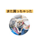 むぎちゃんの日常会話5（個別スタンプ：17）