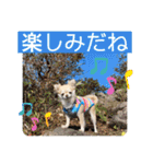 むぎちゃんの日常会話5（個別スタンプ：22）