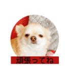 むぎちゃんの日常会話5（個別スタンプ：25）