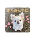 むぎちゃんの日常会話5（個別スタンプ：27）