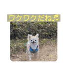 むぎちゃんの日常会話5（個別スタンプ：28）