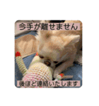 むぎちゃんの日常会話5（個別スタンプ：30）