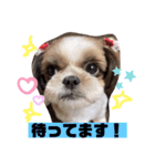 めいちー5（個別スタンプ：1）
