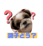 めいちー5（個別スタンプ：2）