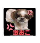 めいちー5（個別スタンプ：4）