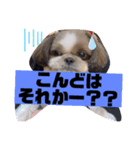 めいちー5（個別スタンプ：5）