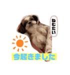 めいちー5（個別スタンプ：6）
