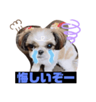 めいちー5（個別スタンプ：7）