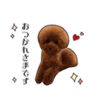 きなこちゃんのすたんぷ❁（個別スタンプ：4）