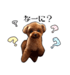 きなこちゃんのすたんぷ❁（個別スタンプ：5）
