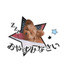 きなこちゃんのすたんぷ❁（個別スタンプ：7）