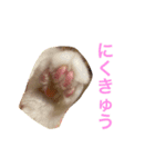 momokichiiiii（個別スタンプ：6）