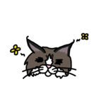 ラグドールのちゃま（個別スタンプ：4）