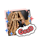 もつけ神（個別スタンプ：10）