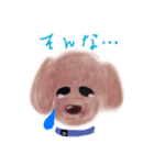 わがやのいっぬ（個別スタンプ：1）