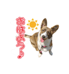 ぷりぷりうーたん(ときどき嵐と柊)（個別スタンプ：1）