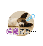 ぷりぷりうーたん(ときどき嵐と柊)（個別スタンプ：3）
