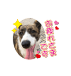 ぷりぷりうーたん(ときどき嵐と柊)（個別スタンプ：4）