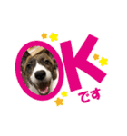 ぷりぷりうーたん(ときどき嵐と柊)（個別スタンプ：6）
